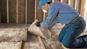 Best Attic Insulation Installation  in USA